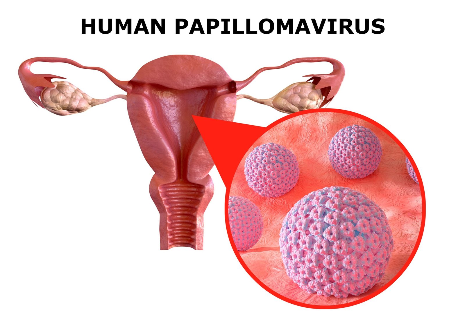 Dermatóloga clínica